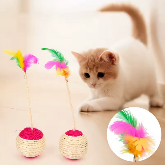 Katzenspielball – zum Kratzen & Spielen