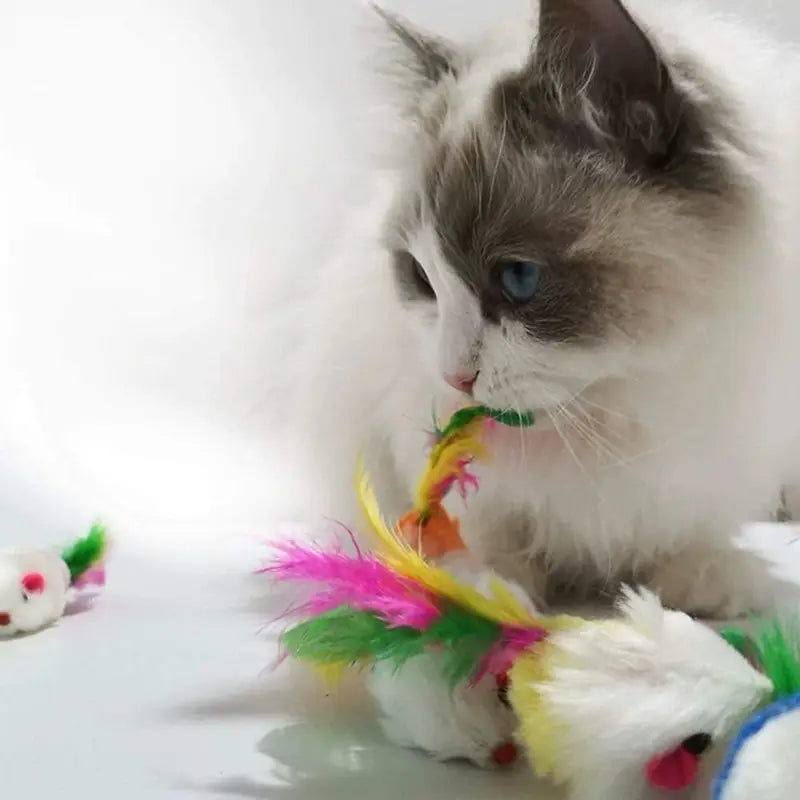 Mäuseset für Katzen – geräuschvoll & mit Katzenminze